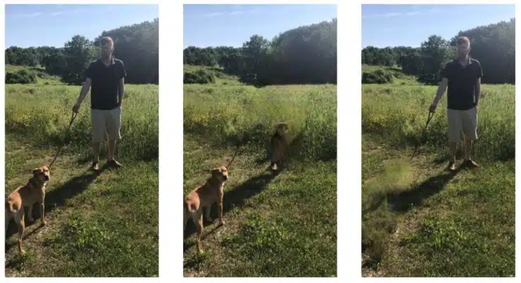 bye bye camera application