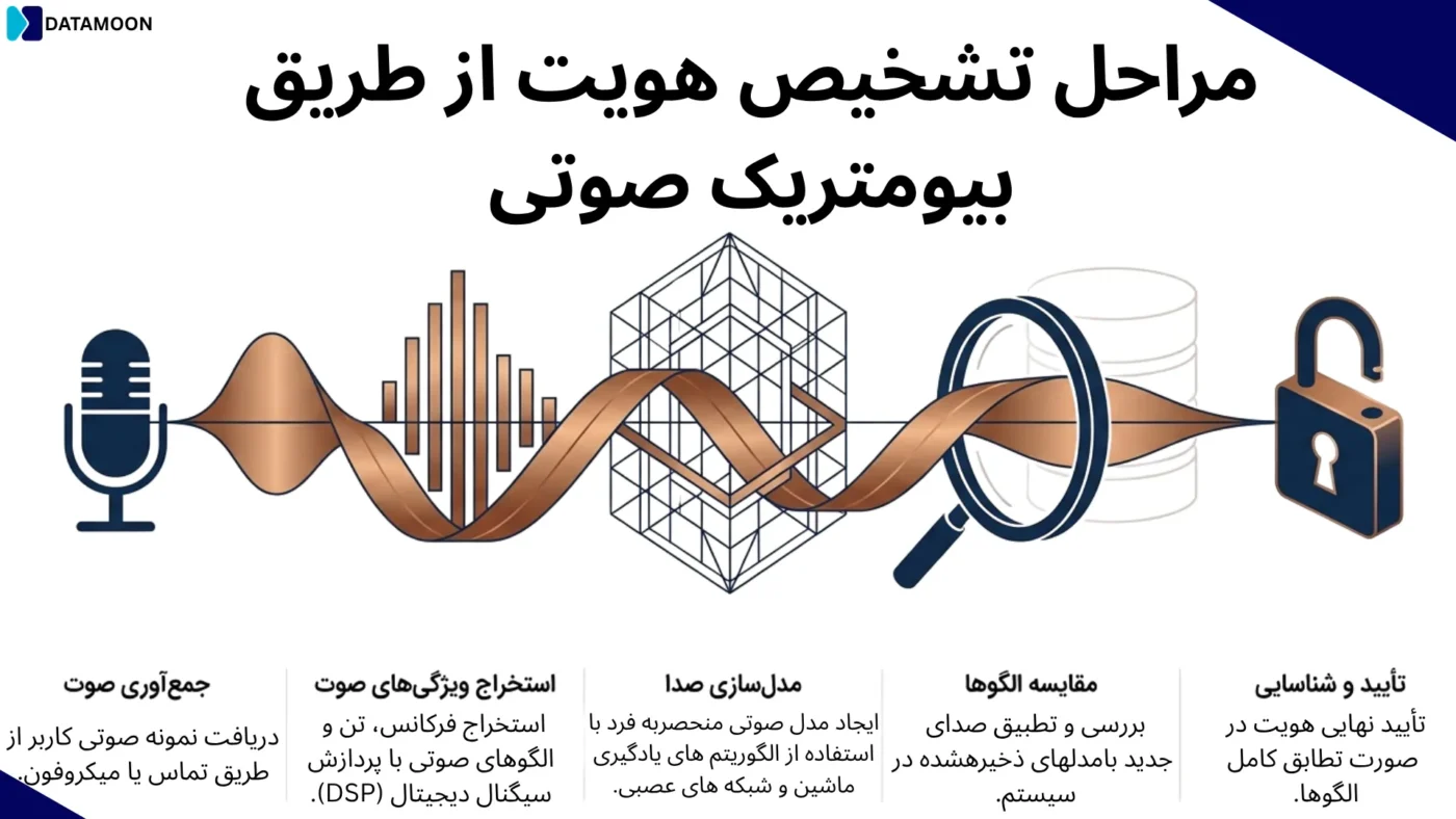 مراحل تشخیص صدا در بیومتریک صوتی